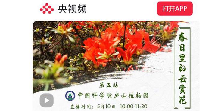春日里的云赏花 — 中国科学院庐山植物园