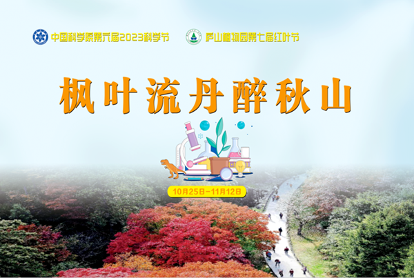 庐山植物园第七届红叶节圆满举办，秋红·茶水铺增添文化气息