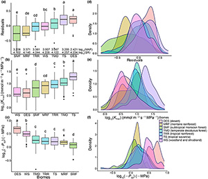 Precipitation, solar radiation, and their interaction modify leaf hydraulic efficiency-safety trade-off across angiosperms at the global scale