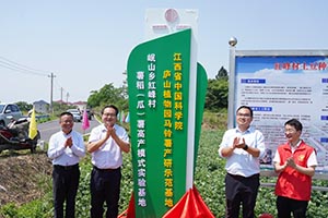 庐山植物园—岷山乡红峰村马铃薯产研示范基地签约揭牌 科技赋能乡村振兴