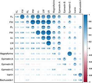 Prioritization of germplasm resources for Epimedium breeding: Chemotype oriented discovery using cross latitude scale resource evaluation