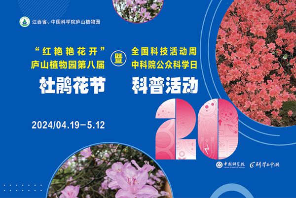“红艳艳花开” 庐山植物园第8届杜鹃花节开始啦！